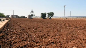 Siccità e caldo record, l’estate 2026 costa miliardi all’Italia: produzioni a rischio e imprese sotto pressione