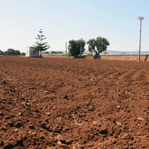 خشک سالی اور ریکارڈ گرمی: موسم گرما 2026 میں اٹلی کو اربوں کی لاگت آئے گی: پیداوار خطرے میں اور کاروبار دباؤ میں ہیں۔