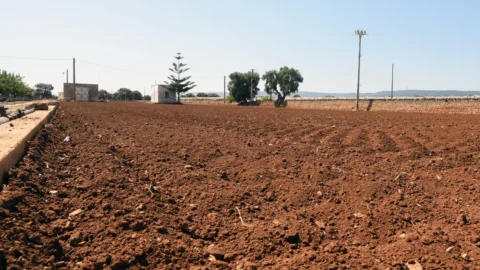 Siccità e caldo record, l’estate 2026 costa miliardi all’Italia: produzioni a rischio e imprese sotto pressione