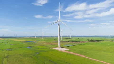 Enel inaugurează parcul eolian Impofu din Africa de Sud, devenind primul operator de energie regenerabilă din țară.