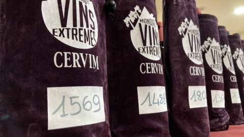 Мировые вина, выращенные в героических условиях: лучшее вино урожая 2026 года – с Тенерифе, специальный приз Cervim достается винодельне Pellegrino (Сицилия), а награда за превосходство – вину Sentivento passito с Пантеллерии.