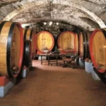 Vino: il Brunello di Montalcino Eredi Fuligni 2021 eletto vino dell’anno dalla “top 100 wines of italy 2026” di James Suckling