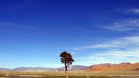 Mongolia, the first car factory