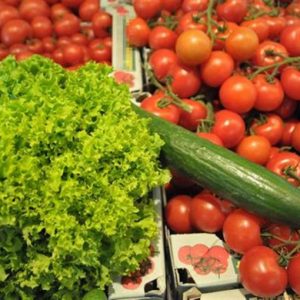 Agricoltura, Coldiretti: nel 2011 il Pil cresce dell’1,2%, occupazione +6%