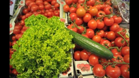 Agricoltura, Coldiretti: nel 2011 il Pil cresce dell’1,2%, occupazione +6%