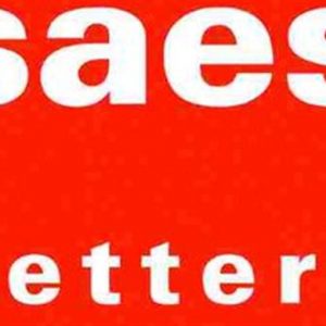 Saes Getters: crescono ricavi e utili