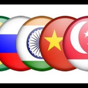 Brics, valute nazionali per regolare gli scambi