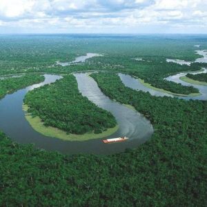 ブラジルのエネルギーの宝