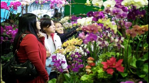 Taiwan, scoperto il “gamberetto fatato” nell’isola delle Orchidee