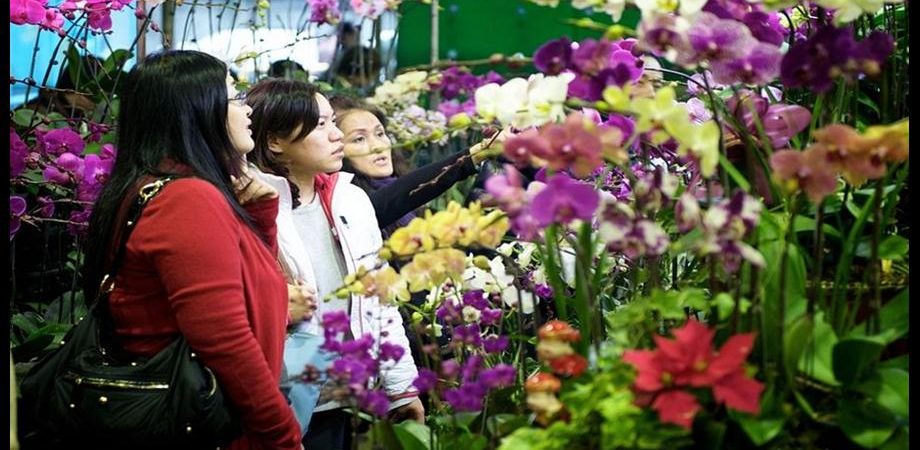 sito di incontri online in Taiwan