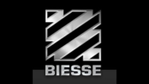 Biesse erwirbt für 9,6 Millionen Euro die Centre Gain-Gruppe aus Hongkong