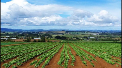 În proiectul de lege al Senatului pentru promovarea angajării tinerilor în sectorul agricol