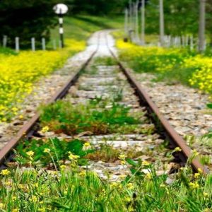 Scioperi: domani trasporti a rischio a Roma, in Lombardia 24 ore di stop per Trenord