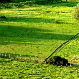 Staatliches Ackerland zu verkaufen: aber welches?