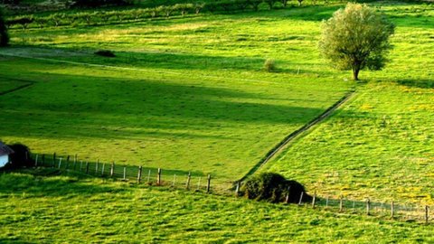 Staatliches Ackerland zu verkaufen: aber welches?