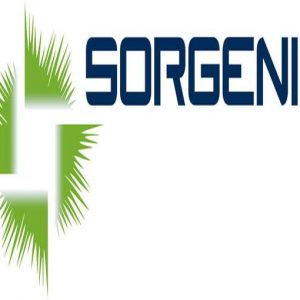 Sorgenia: Mancini favorito per sostituire Mangoni
