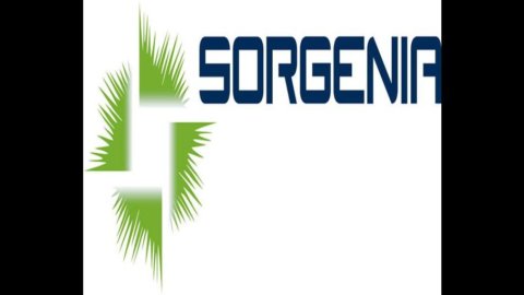 Sorgenia, oggi incontro con banche: convertendo e garanzie i due nodi