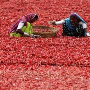 Índia e China, bom crescimento, mas a pobreza não diminui