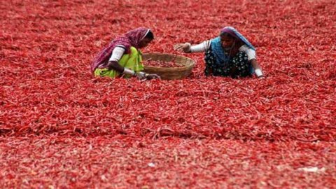 भारत और चीन, अच्छी वृद्धि लेकिन गरीबी कम नहीं होती है