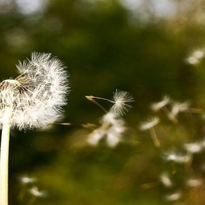 Pochissimi avevano previsto e forse pochi hanno capito