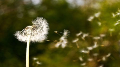 2011: alle Ereignisse, die in die Geschichtsbücher eingehen werden