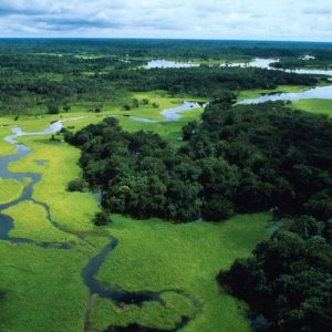 ブラジルのヴァレが世界最悪の企業に選ばれる