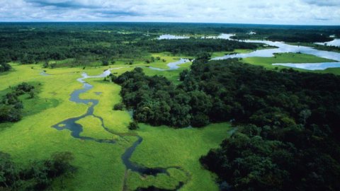 UniCredit dan WWF meluncurkan Kartu Genius yang membantu alam