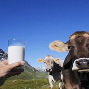 Italien wird von der EU wegen Milchquoten und Müll verprügelt