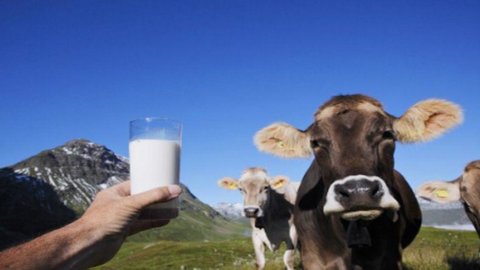 İtalya, AB tarafından süt kotaları ve çöp nedeniyle çarptı