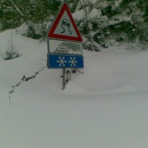 Neve, agora é risco de geada e os lobos estão chegando