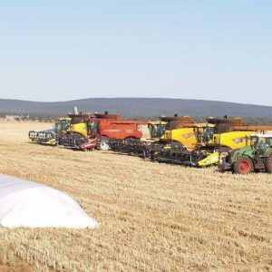 Armenia, l’acquaponica rinnova l’agricoltura
