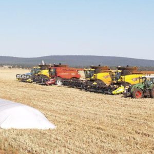 Agriculture moins de 40 ans ? En Italie, c'est un flop. Ici parce que