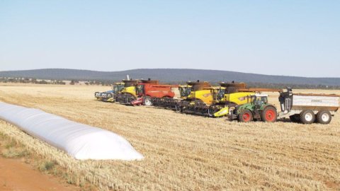 Bonifiche Ferraresi acquisisce Società Italiane Sementi