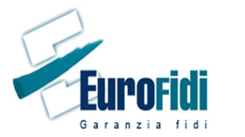 Eurofidi は Confidi International のメンバーです