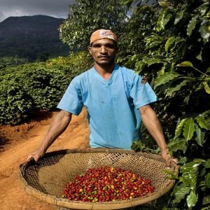 Brezilya, Afrika'ya ihracat artıyor