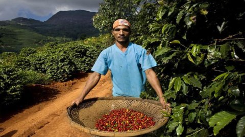 Brasil e exportações para África crescem