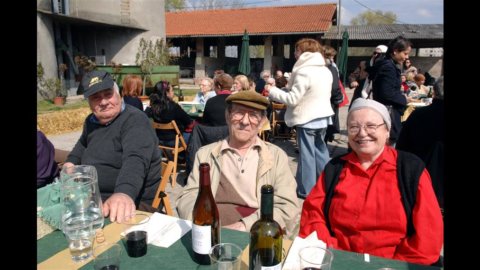 Pensiones, Istat: un pensionista de cada 10 cobra menos de 500 euros