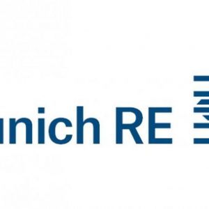 保险：Munich Re，2012 年利润再次上升