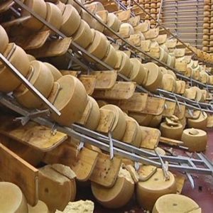 Diario del terremoto: dall’aceto balsamico al parmigiano, milioni di danni al made in Italy