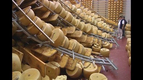 Diario del terremoto: dall’aceto balsamico al parmigiano, milioni di danni al made in Italy