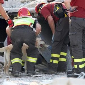 Diario del terremoto: anche le aziende cercano di “sfollare”. Allarme per il settore biomedicale