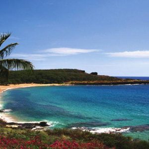 Magnatul american Larry Ellison își oferă o insulă întreagă în Hawaii. Cost? 500-600 de milioane de dolari