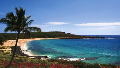 Taipan Amerika Larry Ellison memberi dirinya seluruh pulau di Hawaii. Biaya? $500-600 juta
