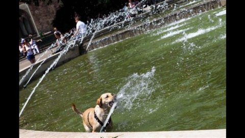 Récord de calor: con Minos el verano más caluroso en 50 años