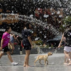 Alarm panas, minggu api, dan Coldiretti berbicara tentang kerang alami