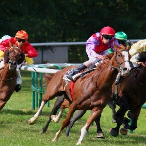 الصين بحاجة إلى رعاة البقر: طفرة ركوب الخيل