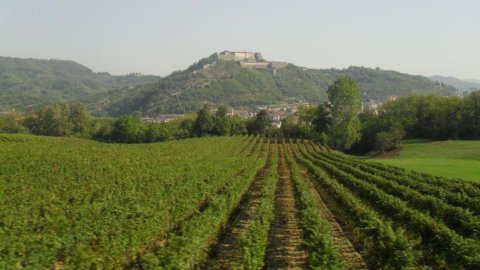 خوراک اور شراب: Gavi Docg سفید شراب کی دریافت، عظیم ریڈز کے Piedmont میں "گھسنے والا"