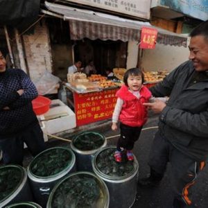 Cina, la manifattura risale dopo 13 mesi