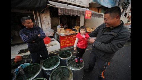 Cina, tanggal pembuatan kembali setelah 13 bulan