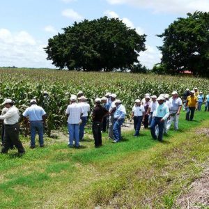 La réforme des métiers vue par les agronomes et forestiers : conférence à Capoue